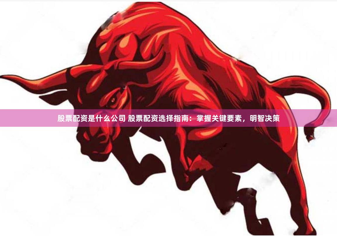 股票配资是什么公司 股票配资选择指南：掌握关键要素，明智决策