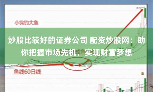 炒股比较好的证券公司 配资炒股网：助你把握市场先机，实现财富梦想