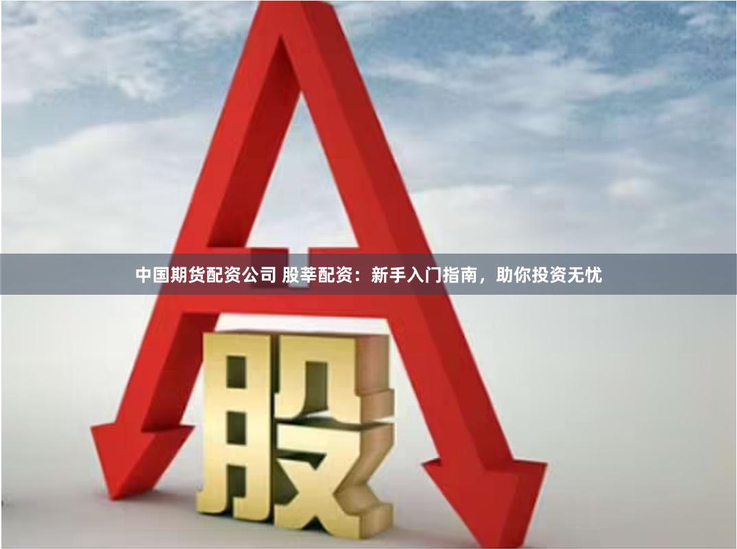 中国期货配资公司 股莘配资：新手入门指南，助你投资无忧