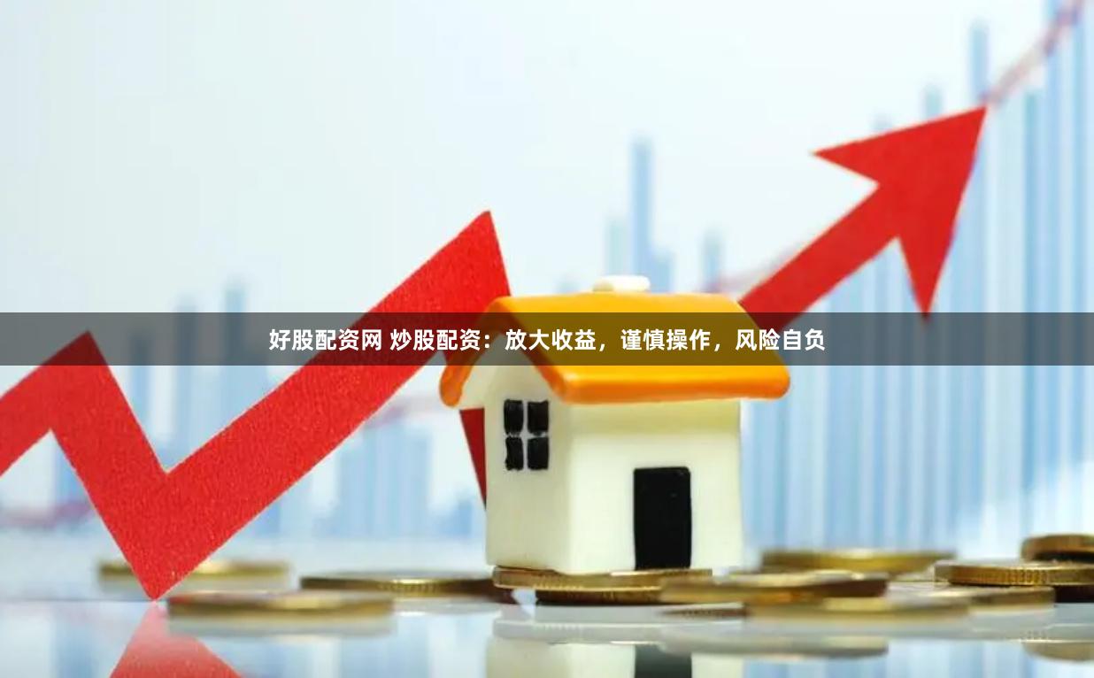 好股配资网 炒股配资:放大收益,谨慎操作,风险自负