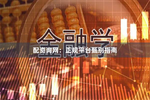 配资询网：正规平台甄别指南