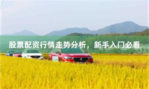 股票配资行情走势分析，新手入门必看