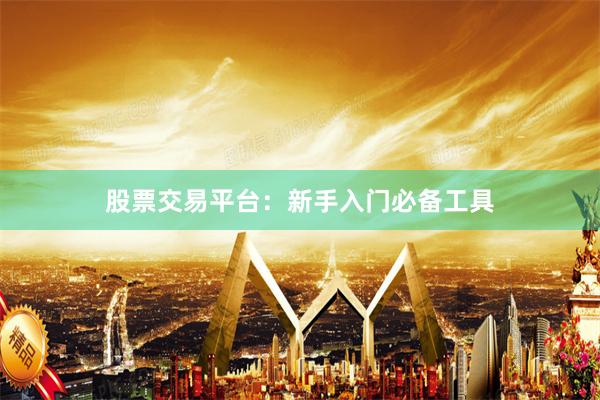 股票交易平台：新手入门必备工具